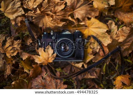 Film camera on autumn leaves