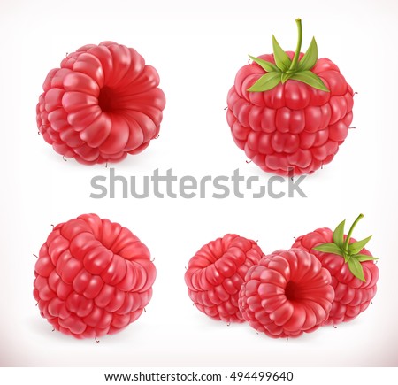 Raspberry. Sweet fruit. 3d vector icons set. Realistic illustration Royalty-Free Stock Photo #494499640