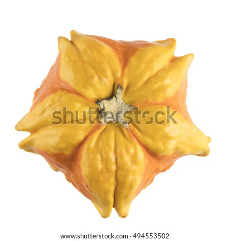 Autumn gourd, viewed from above and isolated on a white background.