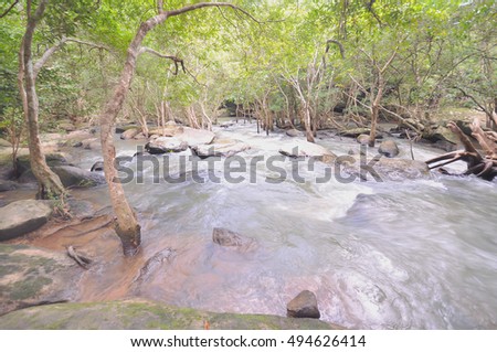 The ripe beauty of the stream located in the forest, the source of natural water.