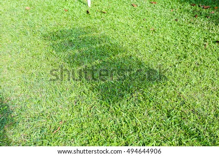 Shadow of the signs on the lawn.