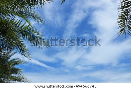 Sky and leaf background