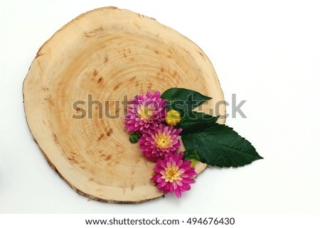 wood and flowers dahlias. flat lay. top view