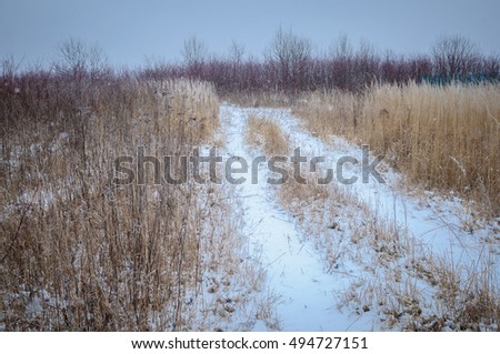 frozen grass field and ground frost in winter melancholy background