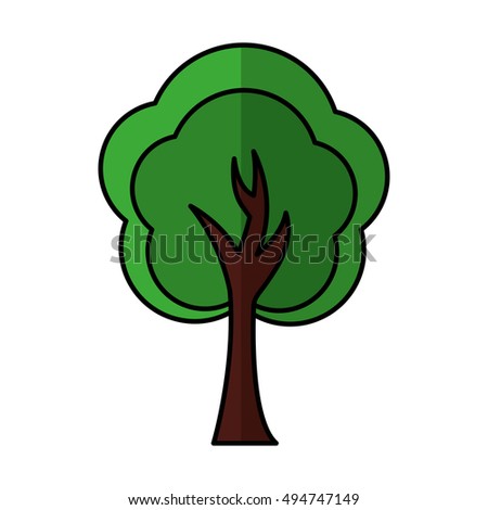 tree plant forest isolated icon vector illustration design