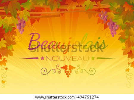 Autumn Vineyard poster. Text lettering in French Beaujolais nouveau means traditional new wine harvest festival in France. Fall festivities background. Winemaking banner. Vector illustration concept