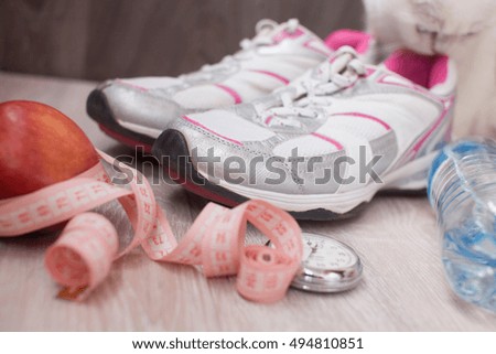 fitness concept with Exercise Equipment on wooden background.sport cat
