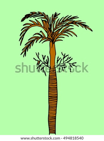areca palm. doodle tree. hand drawn