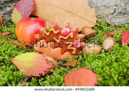 Colorful autumn cookies