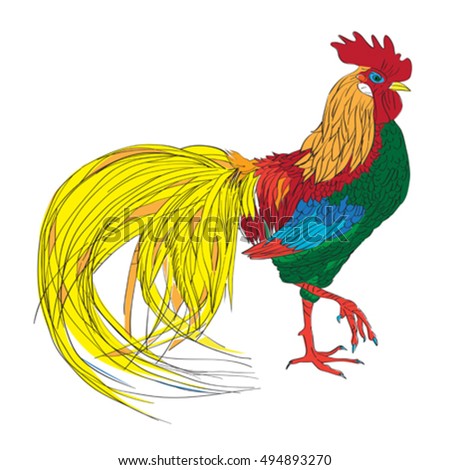 Cartoon illustration of a fantastic rooster isolated on white