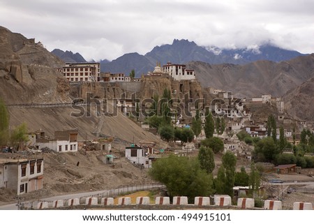 Typical Ladakh city with monastery on the top