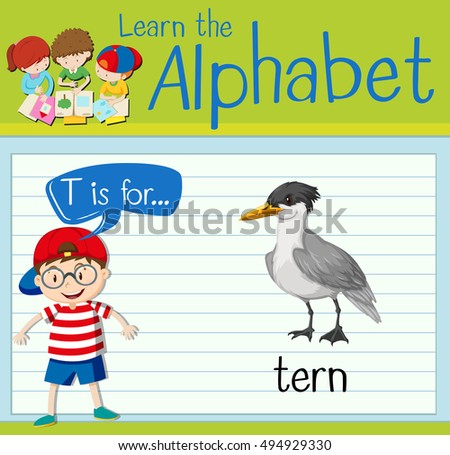 Flashcard letter T is for tern illustration