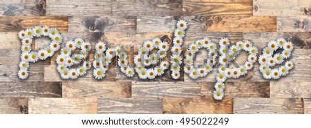 Penelope Name in Daisy Letters Reclaimed Wood Background