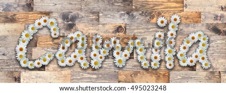 Camila Name in Daisy Letters Reclaimed Wood Background