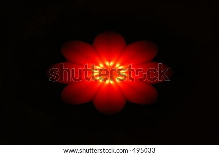 red flower in the dark