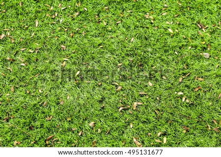 green grass seamless texture background.