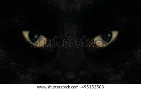 Black cat eyes 2