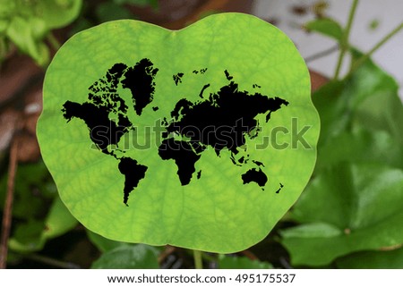 world map on lotus leaf