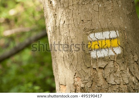 Yellow tourist sign on a bark of tree. Typical tourist sign in Europe for tourists