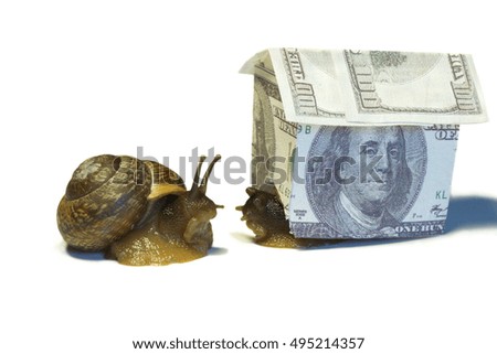 The concept of buying property.Two snails and house made of dollars isolated.
