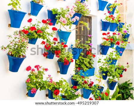Flowers in flowerpot on the walls on streets of Cordoba, Spain Royalty-Free Stock Photo #495219307