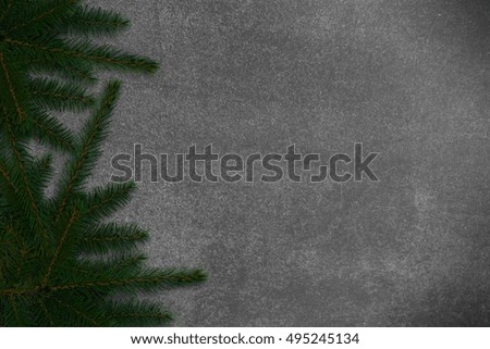 conifer twigs at the left edge on chalkboard