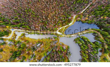 Forest aerial drone shot.Autumn forest with the top point