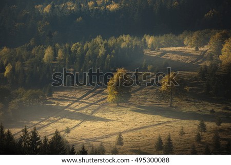 Autumn morning on mountain hills landscape. Different kind of light. Low key, dark background, spot lighting, and rich Old Masters