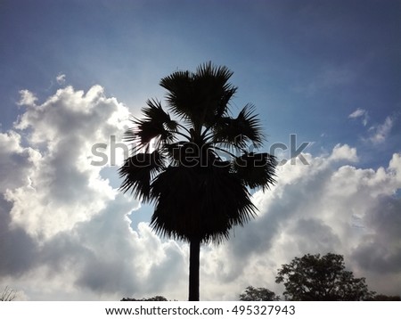  Black tree on blue sky background
