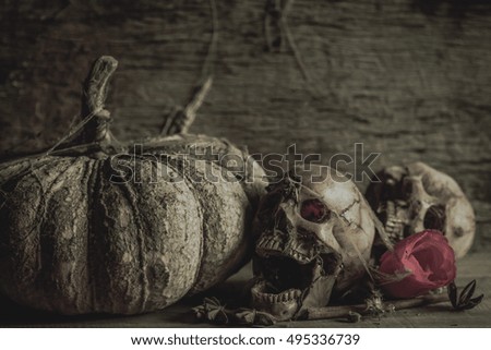 Skulls and dry pumpkin in vintage tone, background for Halloween, still life photography
