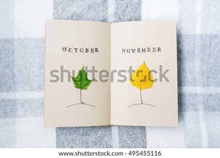 The open notebook, birch leaf and maple leaf on a table. HOctober. November