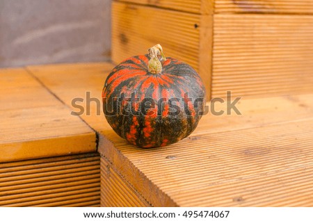 
pumpkin  on a wooden background