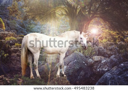 Unicorn realistic photography
 Royalty-Free Stock Photo #495483238