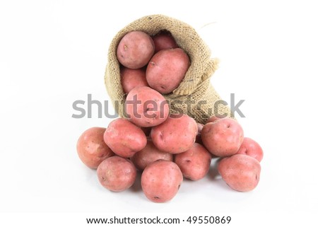Red mini potatoes - picture horizontal orientation. On pile and in burlap bag red mini  potatoes - still life picture.