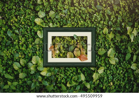Natural Green Leaf wall with Photo Frame ,Feel Nature in Decorative
