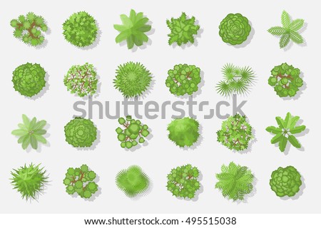 Trees top view. Different plants and trees vector set for architectural or landscape design. (View from above) Nature green spaces. Royalty-Free Stock Photo #495515038