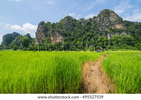 Landscape the hut in green cornfield and the   rocky mountain is background in Thailand
