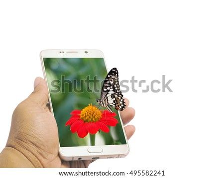 Butterfly hang on flower in smart phone, environment concept. 