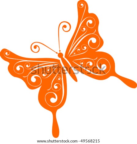 butterfly - vector