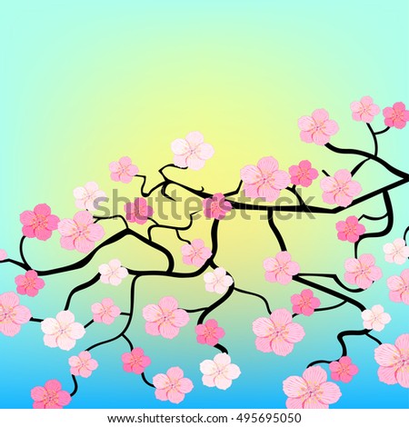 Japanese cherry branches on a background of sunset sky vector illustration