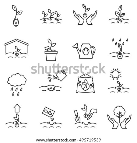 sprout icons set. growing plants from seeds collection. cultivation, care of sprouts and seedlings.Thin line design. gardening, vector linear illustration Royalty-Free Stock Photo #495719539