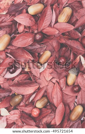 Colorful decorative autumn leaf, acorn and cranberry background. Background texture of different autumn leaves, oak acorns, cranberries. Autumn bounties. Several elements. Styled photo. Toned picture.
