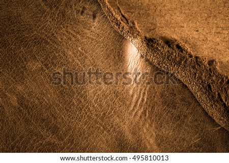 Old brown leather background.
