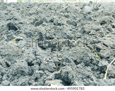 Dug out macro background texture. Soil prepared for winter and next harvest. Ground background in autumn village. Land development in agricultural place. Autumn landscape macro texture in the garden.
