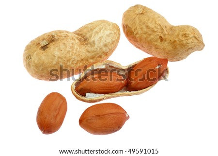 Peanut with pods. Isolated on white background