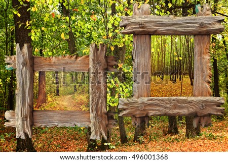 Old Wooden rough frames with textured images of fall forest. Forest autumn landscape as a textured background. Forestry, Timber industry and Environmental Protection conceptual image