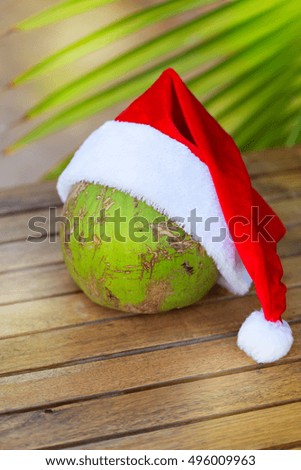 Tropical picture of coconut in a Christmas red hat and palm leaves outdoors
