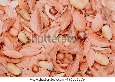 Vintage decorative autumn leaf, oak acorn, cranberry background. Background texture of different leaves, oak acorns, cranberries. Shabby chic style. Retro styled photo. Toned picture.