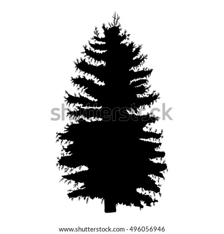 Hand drawn fir tree raster illustration. Silhouette of black pine tree.