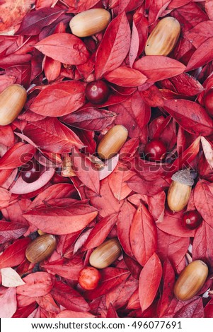 Vintage decorative autumn leaf, acorn, cranberry background. Background texture of different leaves,oak acorns, cranberries. Shabby chic style. Retro styled photo. Toned picture.